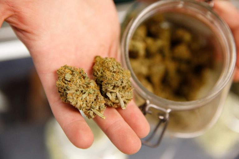 Does High-Potency Marijuana Do More Damage To The Brain?