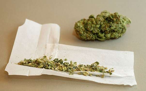 Regular Marijuana Use Linked to Economic and Social Problems