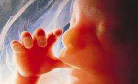Law banning abortion on babies that can feel pain takes effect in Ohio