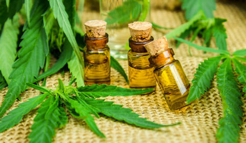Changes to regulations will improve access to cannabidiol