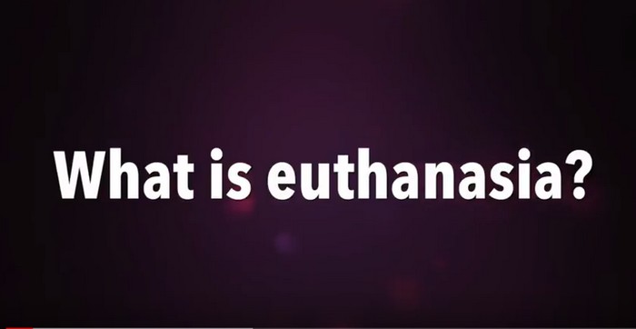 What is euthanasia?