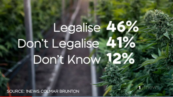Kiwis divided on legalising cannabis, but more are in favour, 1 NEWS poll reveals