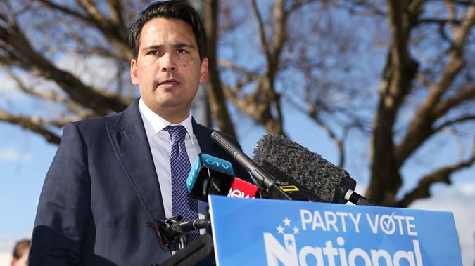 Simon Bridges: Abortion law change a ‘conscience issue’ for MPs