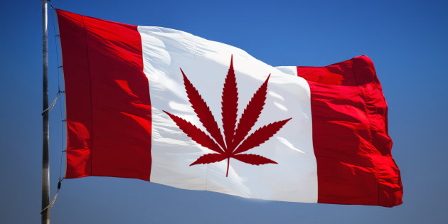 Canada Already Showing Troubling Signs From Legalising Dope