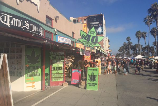 Cannabis referendum: Legalisation in California no game-changer after 18 months