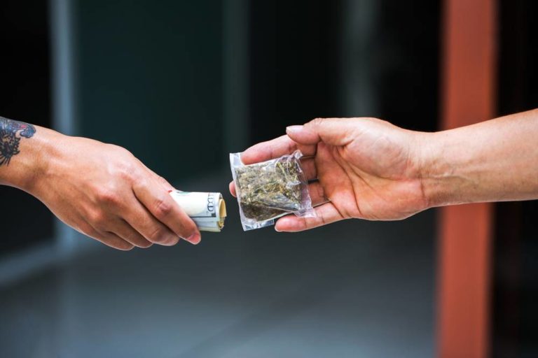 Shane Reti: Should gangs be allowed to grow medicinal cannabis?