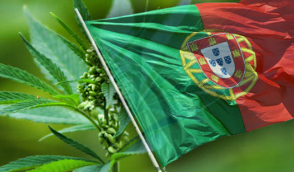 Troubled Portugal Bad Example For Drug Advocates in NZ