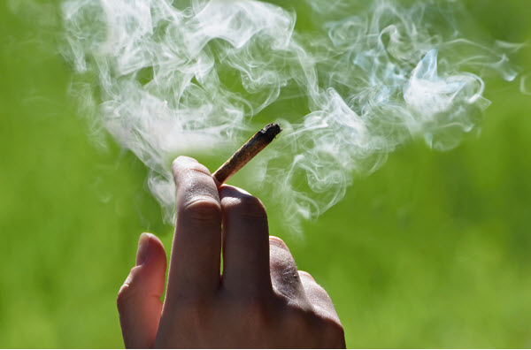 Duncan Garner: Legalising weed could cause teen addiction to skyrocket
