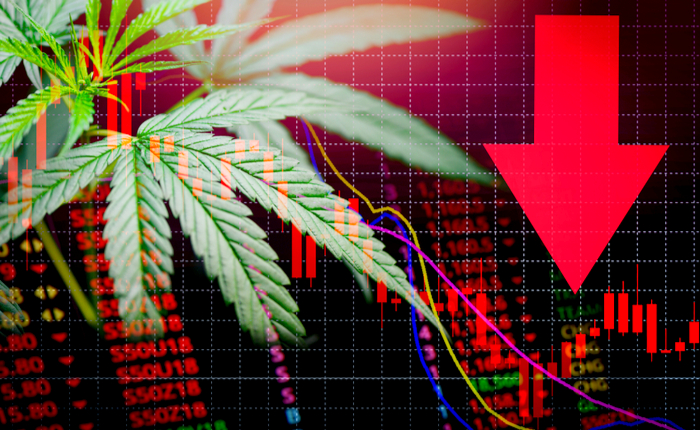 Feeling burned: The first year of legal cannabis has been a complete disaster for investors