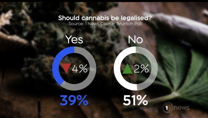 Mike Hosking: Polls show the public knows better than Government on cannabis