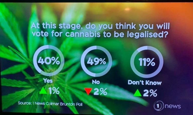 Majority of Kiwis still against legalising cannabis, according to latest 1 NEWS Colmar Brunton poll