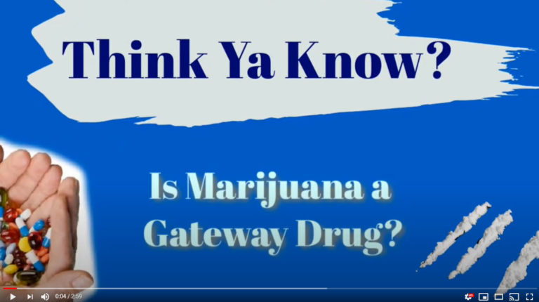 Think Ya Know? Is Marijuana a Gateway Drug?