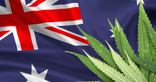Cannabis Youth Use Would Increase If Legalised – Australian Study