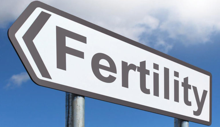 Plummeting Fertility Rate Requires Urgent Debate