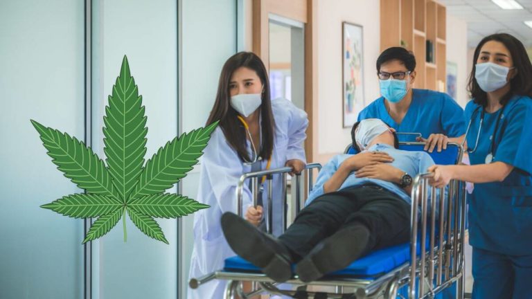 Research: Marijuana users more likely to need emergency care and hospitalisation
