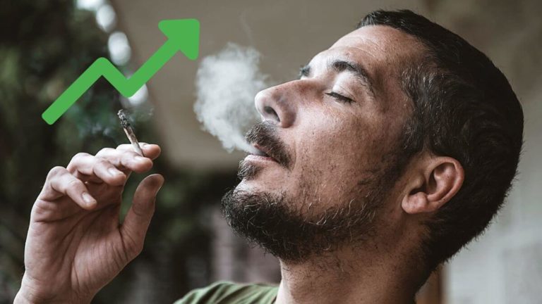 Study: Highly potent weed creating marijuana addicts worldwide