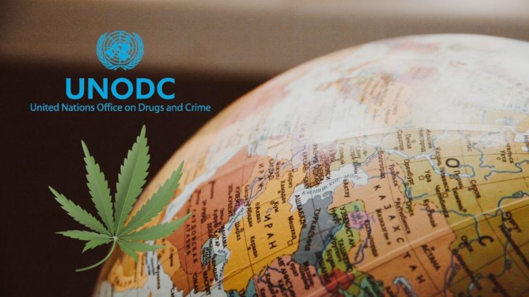 2022 World Drug Report – accelerated drug use where cannabis is legalised
