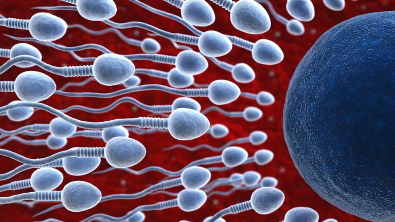 Netherlands: Sperm donor uses fake names and fathers 500 kids