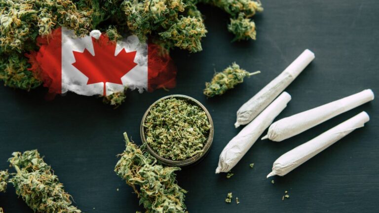 Canada: Increased health problems after 5 years of cannabis legalisation