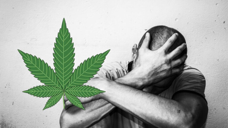 US: Cannabis connection to suicide attempts